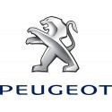 Peugeot metalická farba lakovateľná 1000 ml, riedenie 1:1