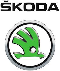 Skoda kod farby. Kde najdem kod farby Skoda