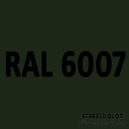 RAL 6007 akrylová auto farba lesklá alebo matná 1 liter + tužidlo + riedidlo