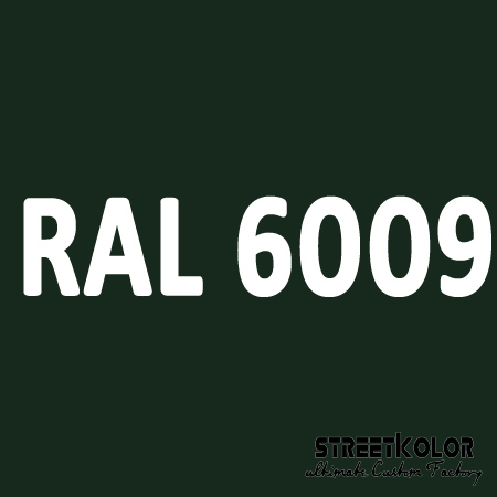 RAL 6009 akrylová auto farba lesklá alebo matná 1 liter + tužidlo + riedidlo