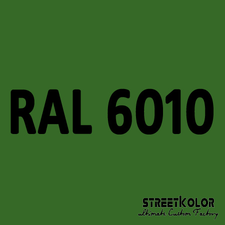 RAL 6010 akrylová auto farba lesklá alebo matná 1 liter + tužidlo + riedidlo