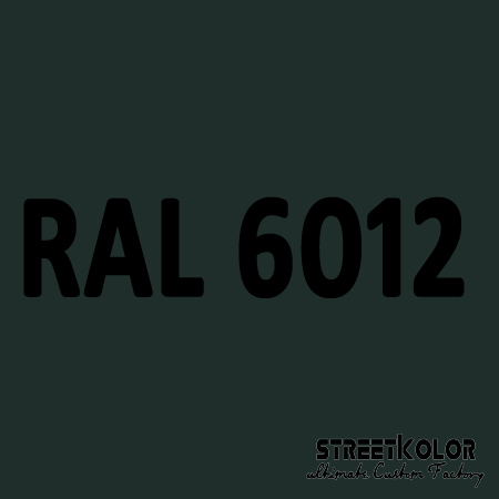 RAL 6012 akrylová auto farba lesklá alebo matná 1 liter + tužidlo + riedidlo