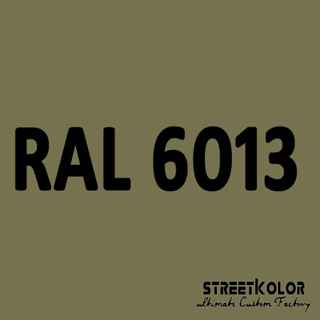 RAL 6013 akrylová auto farba lesklá alebo matná 1 liter + tužidlo + riedidlo