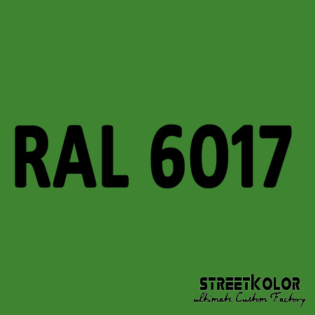 RAL 6017 akrylová auto farba lesklá alebo matná 1 liter + tužidlo + riedidlo