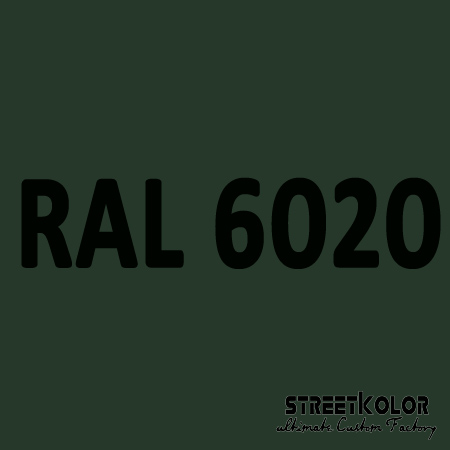 RAL 6020 akrylová auto farba lesklá alebo matná 1 liter + tužidlo + riedidlo