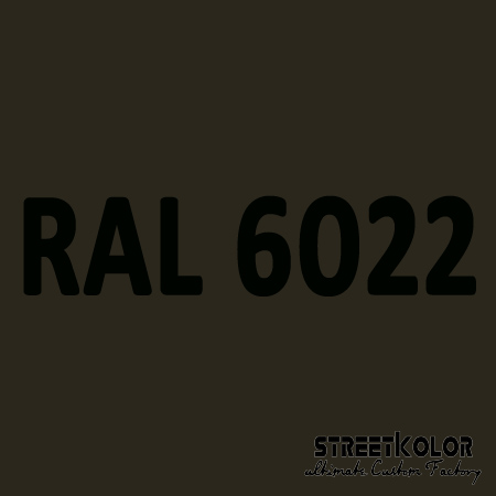 RAL 6022 akrylová auto farba lesklá alebo matná 1 liter + tužidlo + riedidlo