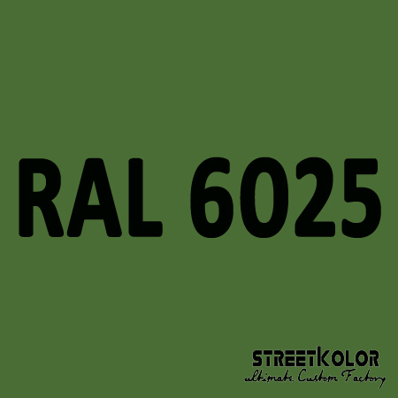RAL 6025 akrylová auto farba lesklá alebo matná 1 liter + tužidlo + riedidlo