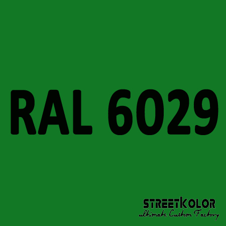 RAL 6029 akrylová auto farba lesklá alebo matná 1 liter + tužidlo + riedidlo