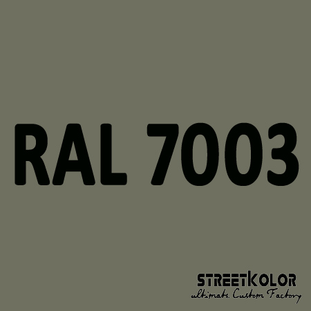 RAL 7003 akrylová auto farba lesklá alebo matná 1 liter + tužidlo + riedidlo