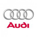Audi metalická farba nariedená, pripravená na striekanie 1000 ml