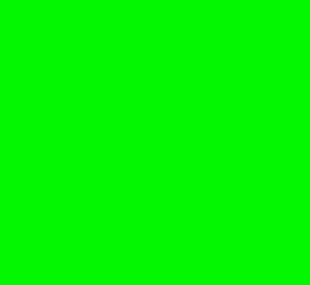 Fluorescenčná signálna farba RAL 6038 Neriedený koncentrát, 1 liter