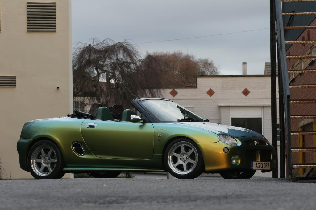 Chameleon Bitter Sweet (MG ROVER BITTER SWEET)