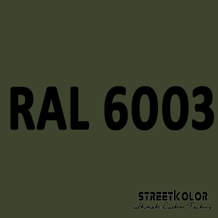 RAL 6003 uretánová auto farba lesklá alebo matná 1 liter + tužidlo + riedidlo